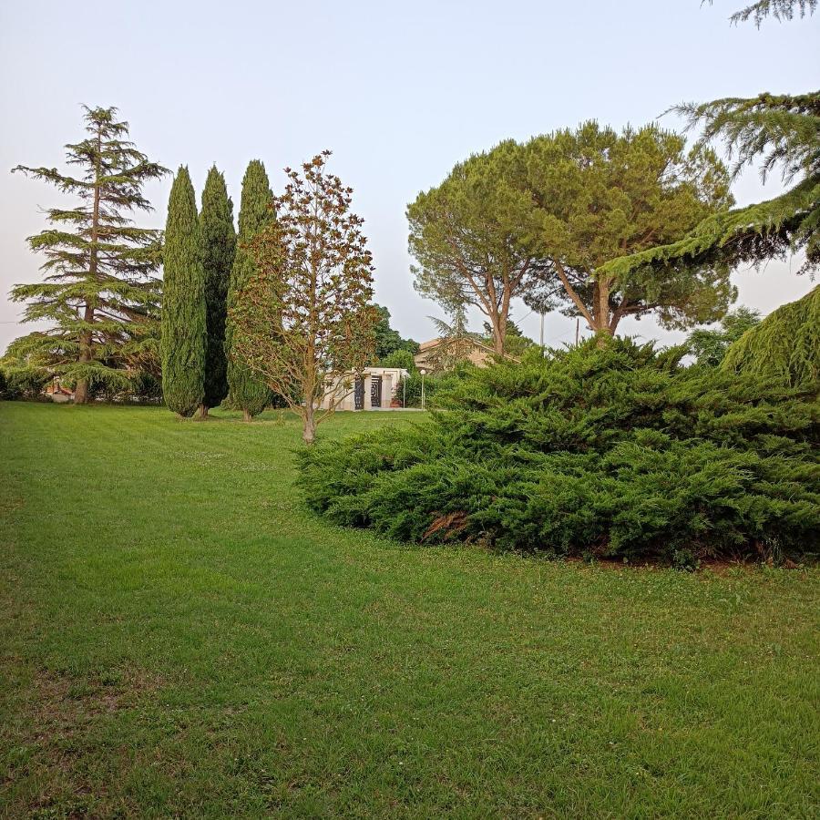 Вилла Casa Michelangelo Morrovalle Экстерьер фото